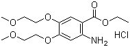 埃罗替尼